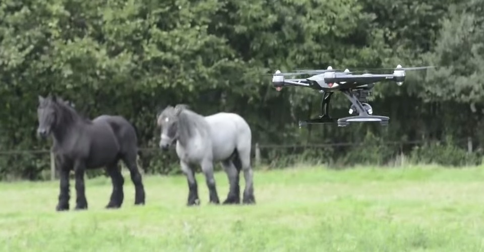 drone_ingezet_voor_jacht_op_paardenbeulen