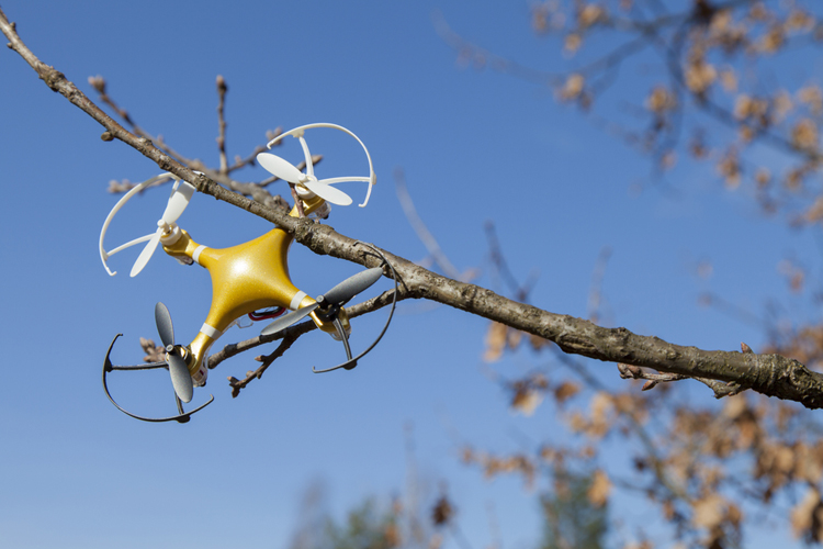 Drone in boom zorgt voor ophef in Brabant