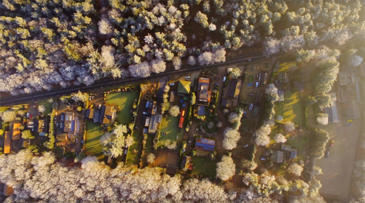 Winterse dronevlucht boven het bos van Leersum en de weilanden rond Woudenberg