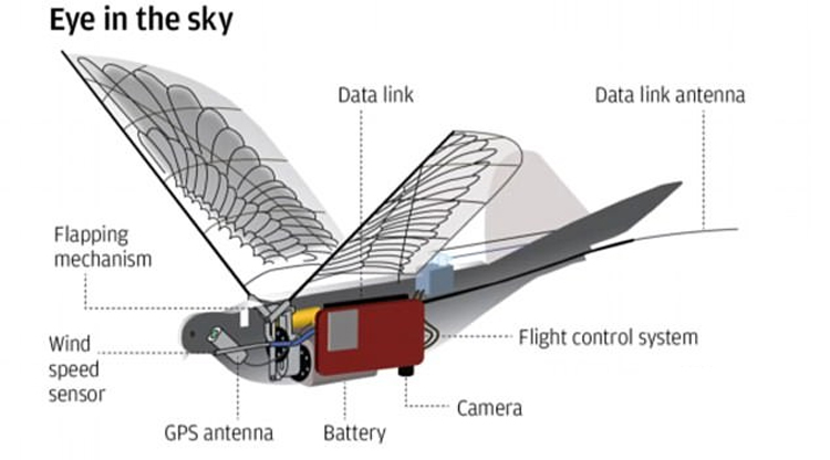 China gebruikt realistische duif-drones voor beveiliging