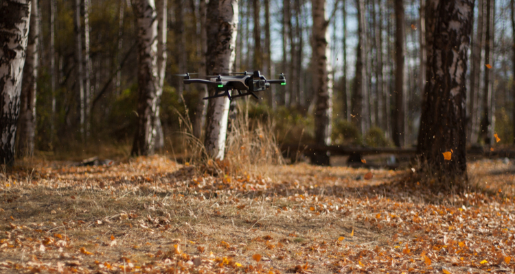 Friese vogelwacht zet drone in om nesten van weidevogels te vinden